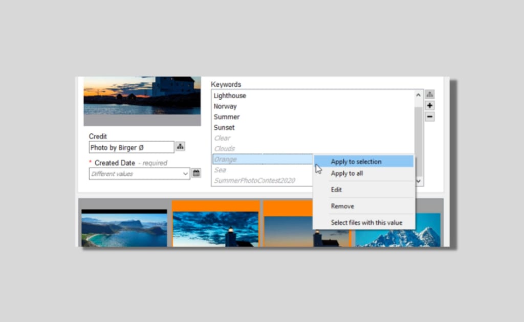 Applying metadata to a selection in the new FotoStation metadata editor