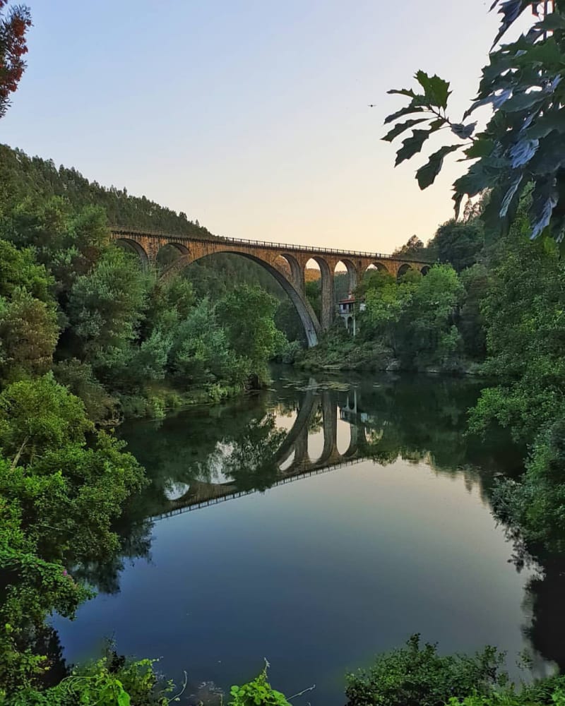 #GreenSummerFotoContest – Instagram Top 30 Submission photos for GreenSummerFotoContest for Public on Instagram
